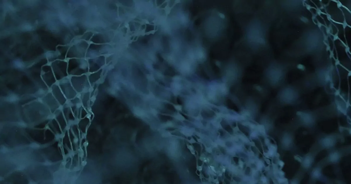 uriel-sc-11kdtiuwrq4-unsplash-67ebac26794e1-1-67ebb1299c753 Fibres